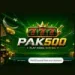 Pak500 Game