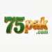 75Pak game