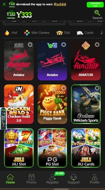 Y333 Game